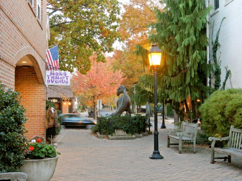 9th Annual Haddon Twp. Summer Solstice 1